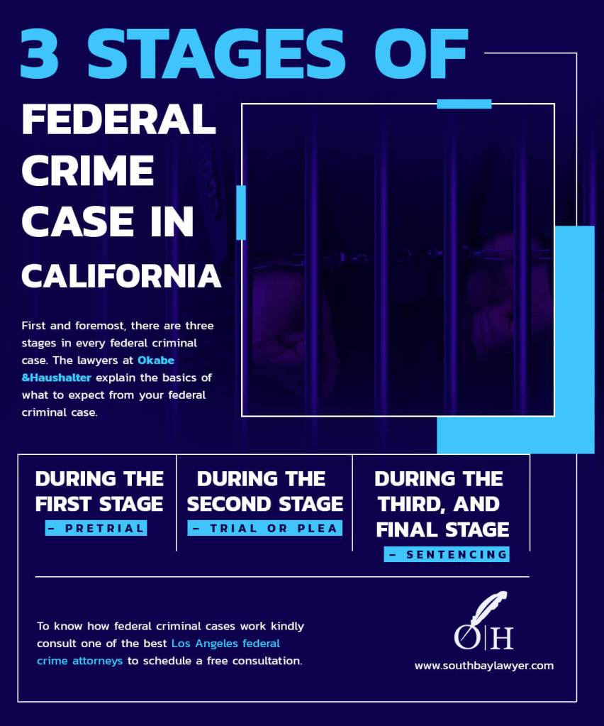 federal crime attorneys